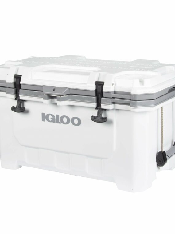 MTI Industries Safe T Alert 25 Series Dual CO/Propane Alarm, Compact 12V RV Detector, Black