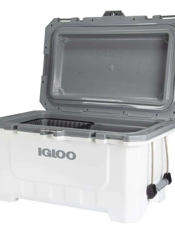 MTI Industries Safe T Alert 25 Series Dual CO/Propane Alarm, Compact 12V RV Detector, Black