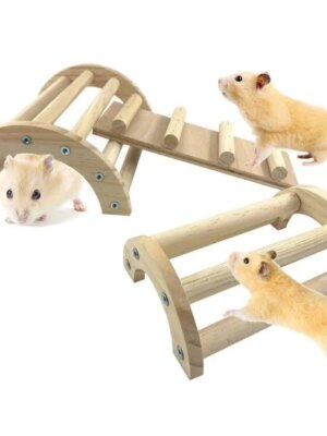 Natural Pine 3-in-1 Climbing Ramp Toy for Chicks, Hamsters & Gerbils - Small Pet Cage Accessory