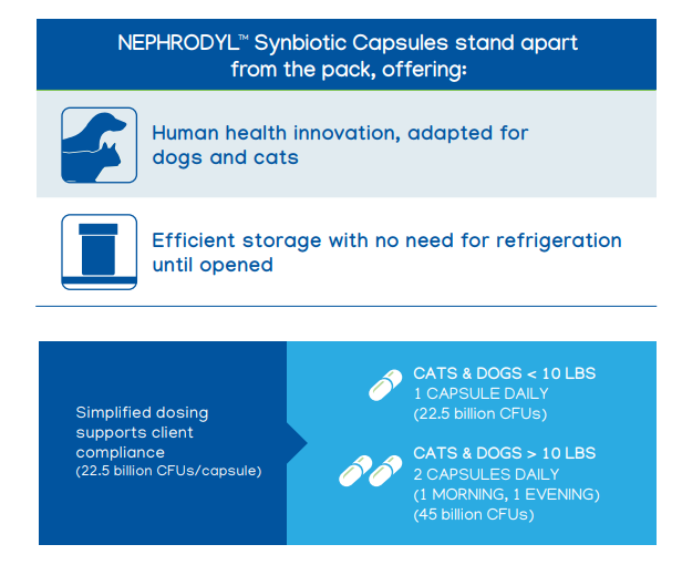 Nephrodyl Synbiotic Kidney Support Capsules for Dogs & Cats, 60 Count