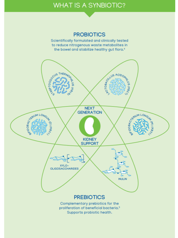Nephrodyl Synbiotic Kidney Support Capsules for Dogs & Cats, 60 Count