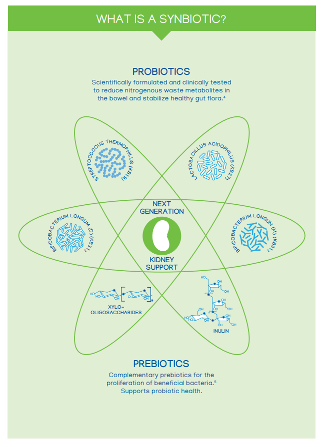 Nephrodyl Synbiotic Kidney Support Capsules for Dogs & Cats, 60 Count