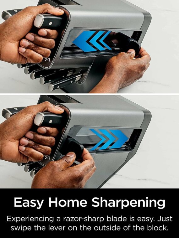 Ninja Foodi NeverDull 17-Piece Knife Block Set with Built-in Sharpener, Stainless Steel/Black