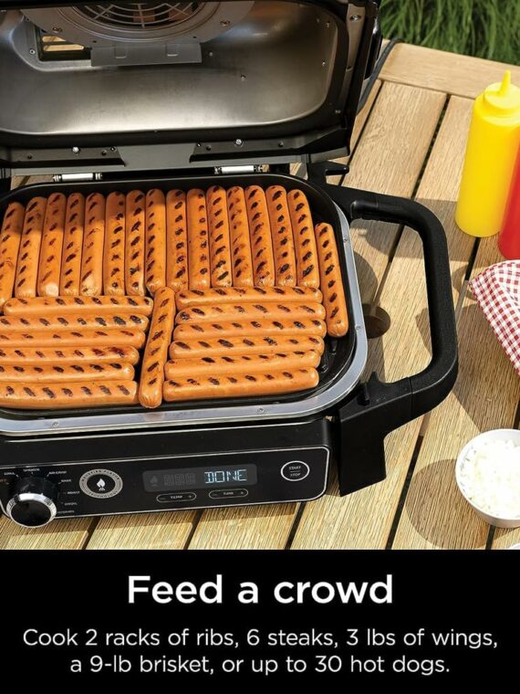 Ninja Woodfire Pro Grill & Smoker, 7-in-1, Portable, Built-in Thermometer, Wood/Charcoal Fuel, Non-Stick, Brown