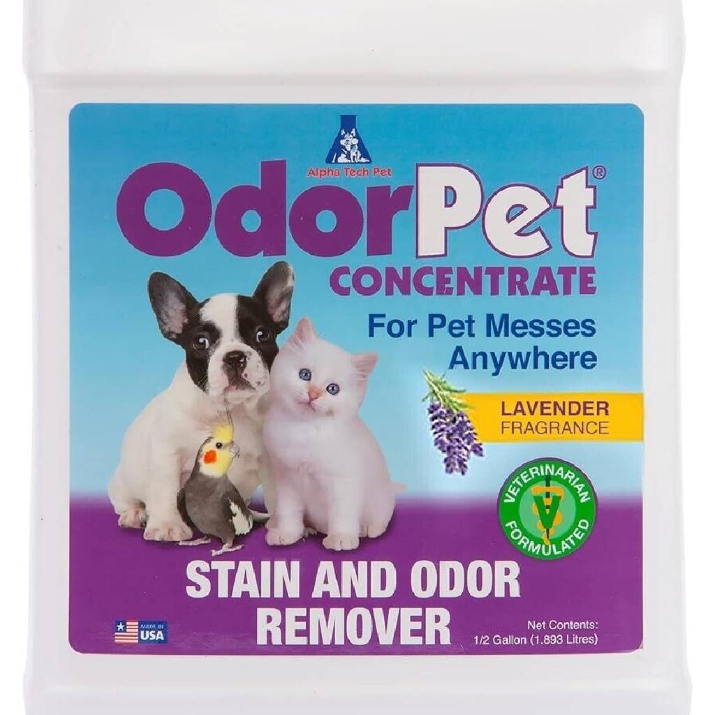 OdorPet Concentrate Stain & Pet Odor Remover 64 oz - Bio-Active Formula for Carpets & Floors by AlphaTech Pet