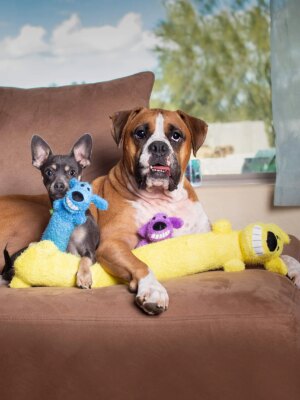 Original International Loofa Dog Mini 6-Inch Plush Toy with Squeaker for Small Dogs