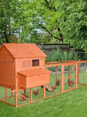 PawHut Large Chicken Coop with Waterproof Roof, Nesting Box & Easy-Clean Tray for Hens & Ducks