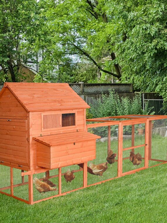 PawHut Large Chicken Coop with Waterproof Roof, Nesting Box & Easy-Clean Tray for Hens & Ducks