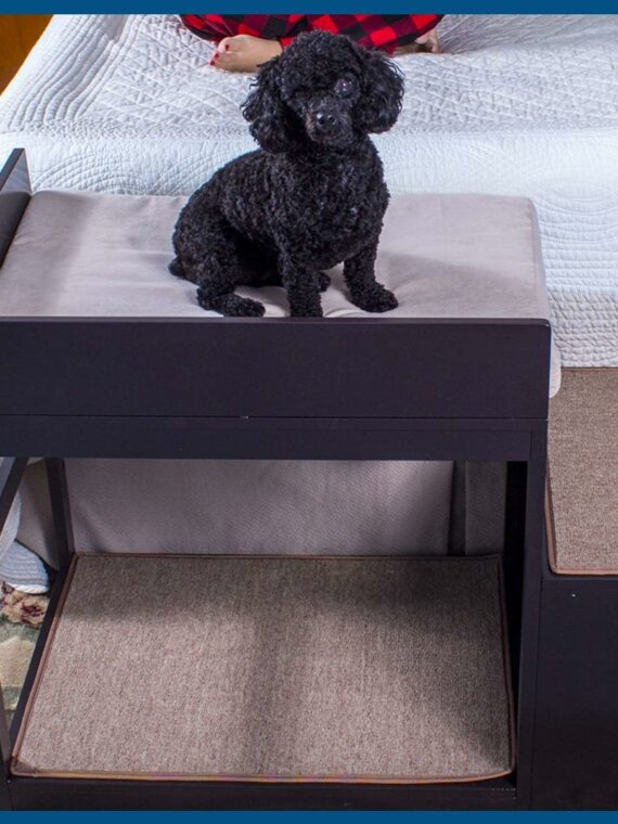 Penn-Plax Buddy Bunk Multi-Level Pet Bed & Stairs, Small Breeds, Elevated Wood Design