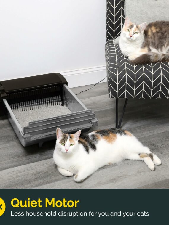 Pet Zone Self-Cleaning Cat Litter Box, Automatic, Odor Control, Easy Maintenance, Quiet, For Cats 6-15 lbs