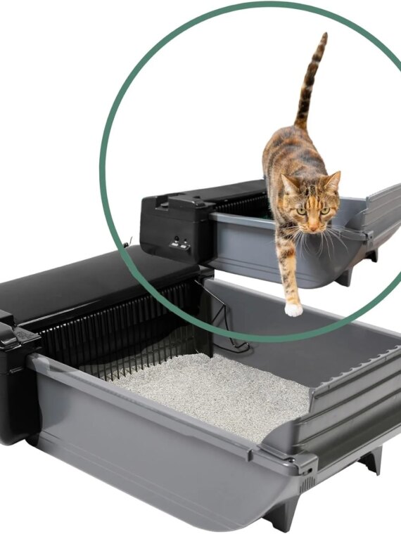 Pet Zone Self-Cleaning Cat Litter Box, Automatic, Odor Control, Easy Maintenance, Quiet, For Cats 6-15 lbs
