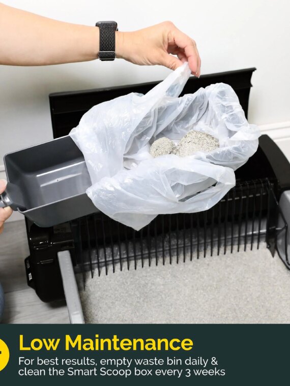 Pet Zone Self-Cleaning Cat Litter Box, Automatic, Odor Control, Easy Maintenance, Quiet, For Cats 6-15 lbs