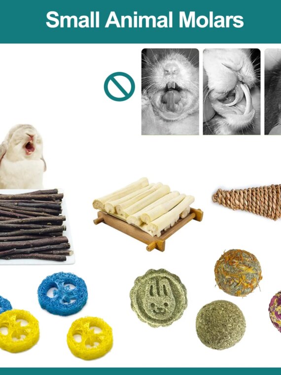 PetJoy Rabbit Tunnel & Chew Toy Set - Tear-Resistant Polyester, Includes Tunnel, Grass Balls, Apple Sticks, Loofahs - For Rabbits & Small Rodents