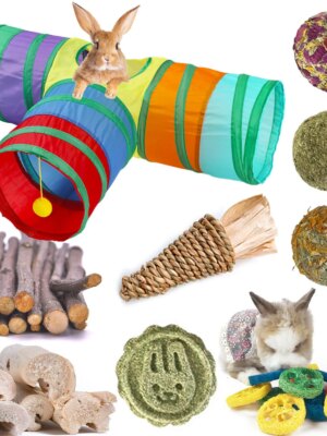 PetJoy Rabbit Tunnel & Chew Toy Set - Tear-Resistant Polyester, Includes Tunnel, Grass Balls, Apple Sticks, Loofahs - For Rabbits & Small Rodents