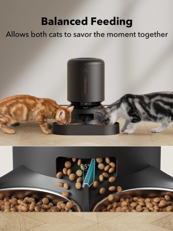 PETLIBRO 5L Automatic Cat Feeder with 1080P HD Camera, WiFi Control, Two-Way Audio, Smart Notifications