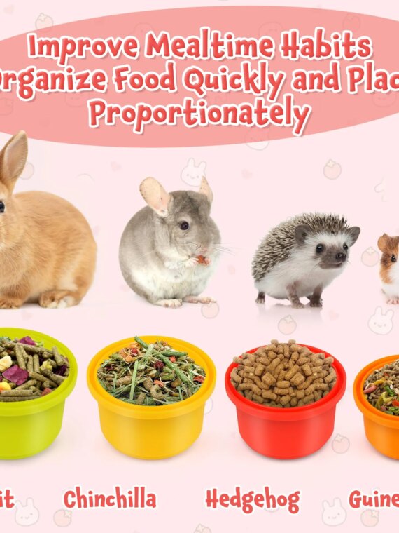 PetPlay 8-Piece Stackable Plastic Nesting Snack Cups for Rabbits - Durable, Colorful, BPA-Free Toys