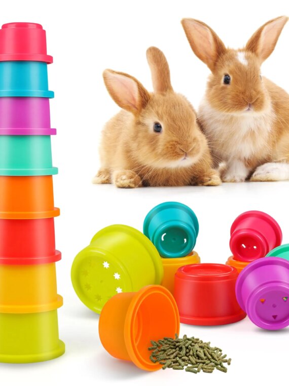 PetPlay 8-Piece Stackable Plastic Nesting Snack Cups for Rabbits - Durable, Colorful, BPA-Free Toys