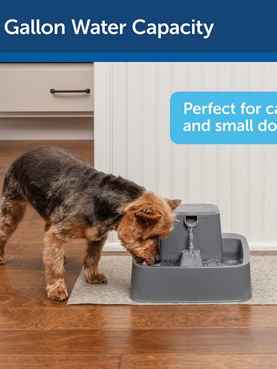 PetSafe Drinkwell Pet Fountain, Adjustable Flow, 1/2-Gallon Capacity, for Cats & Small Dogs