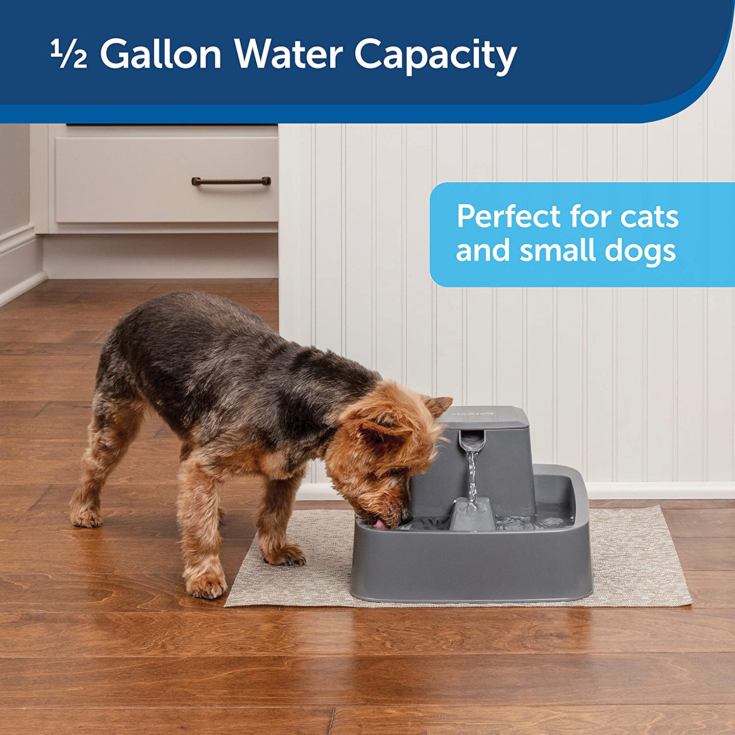 PetSafe Drinkwell Pet Fountain, Adjustable Flow, 1/2-Gallon Capacity, for Cats & Small Dogs