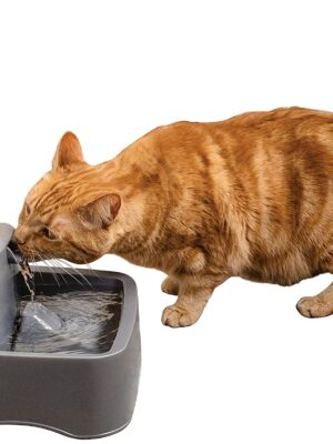 PetSafe Drinkwell Pet Fountain, Adjustable Flow, 1/2-Gallon Capacity, for Cats & Small Dogs