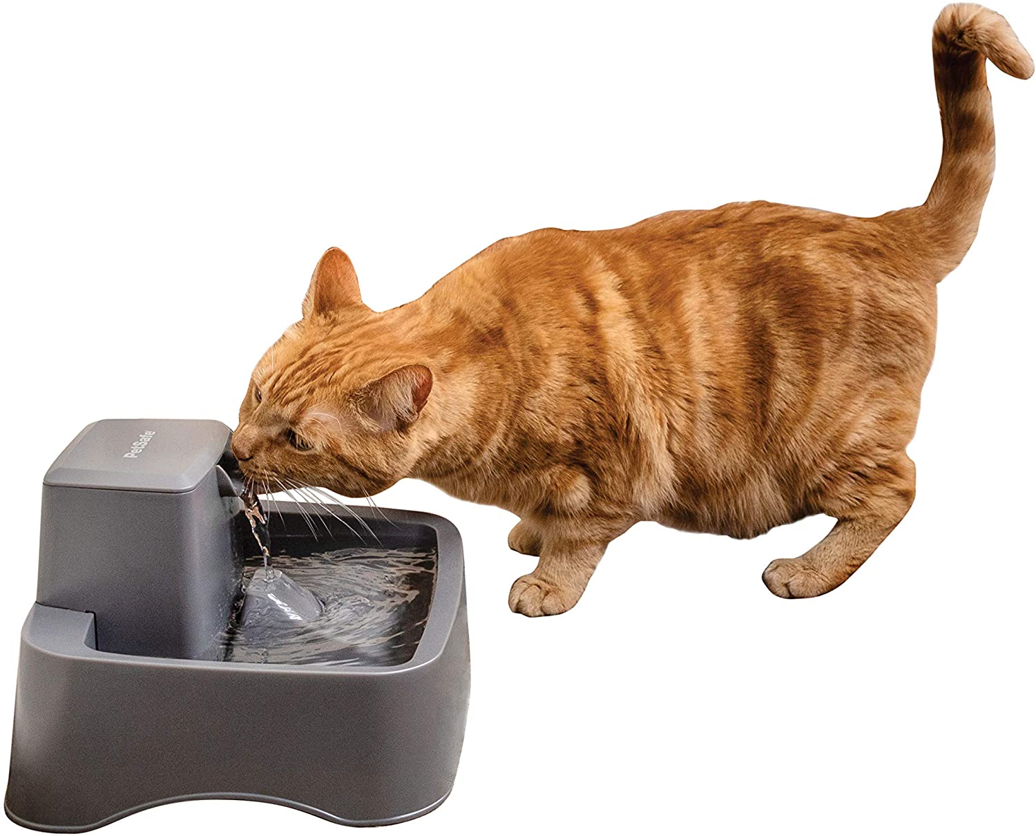 PetSafe Drinkwell Pet Fountain, Adjustable Flow, 1/2-Gallon Capacity, for Cats & Small Dogs