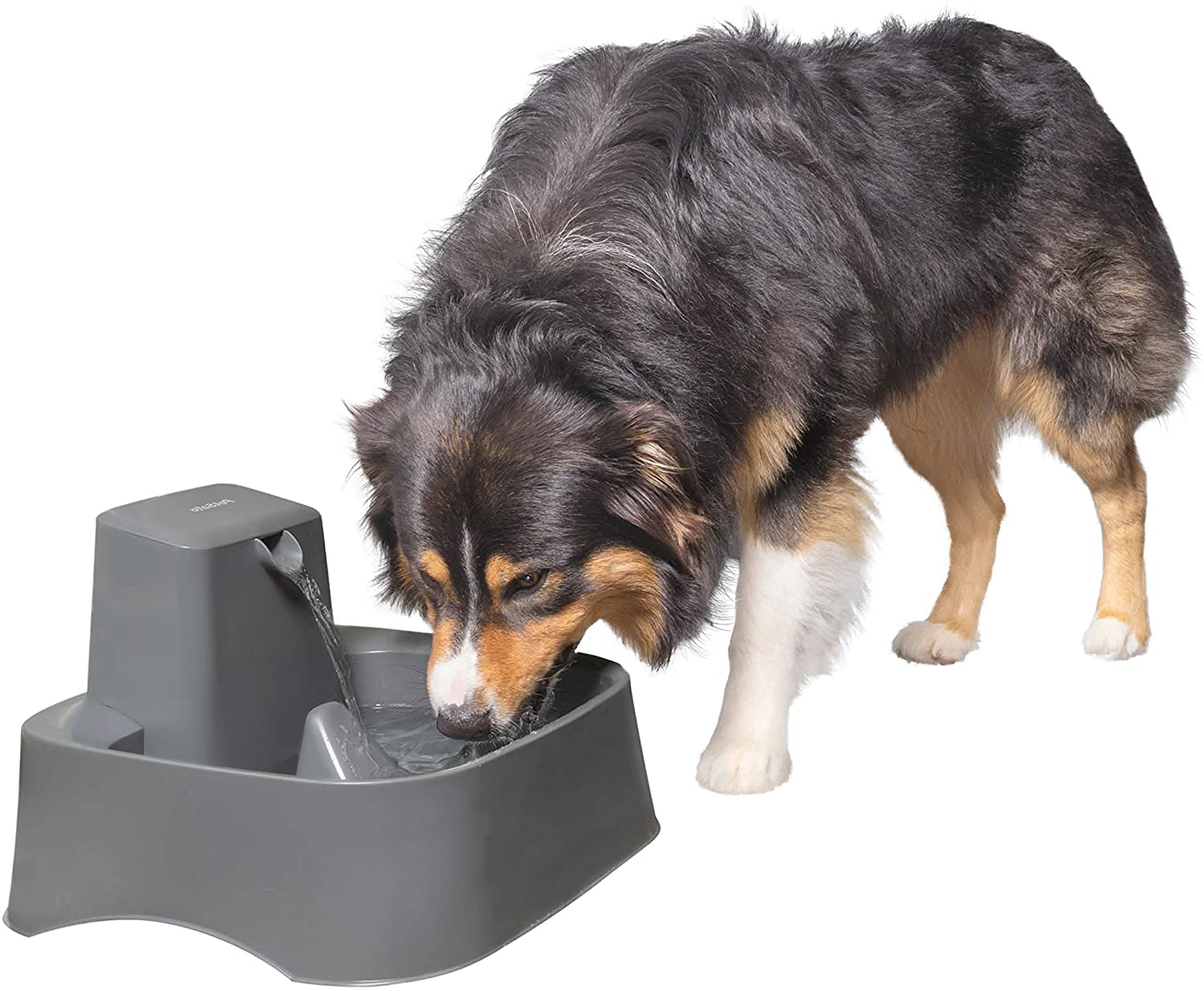 PetSafe Drinkwell Pet Fountain, Adjustable Flow, 1/2-Gallon Capacity, for Cats & Small Dogs