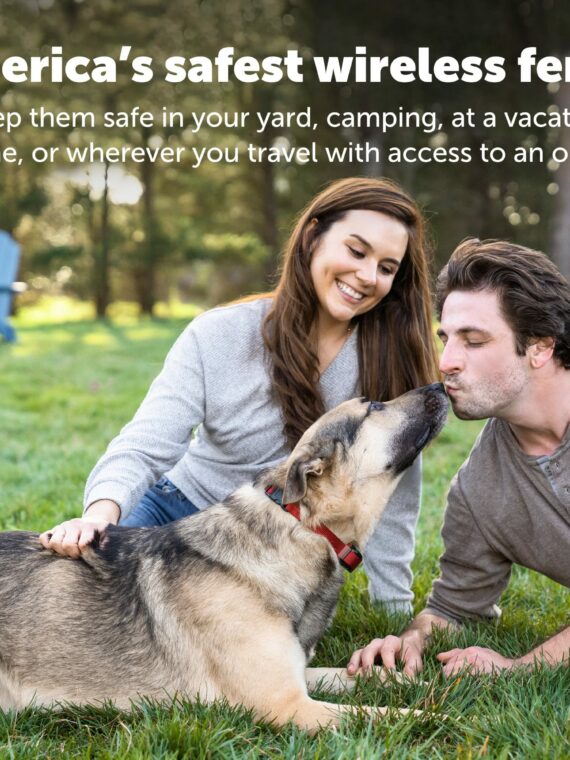 PetSafe Stay & Play Wireless Dog Fence for Stubborn Dogs, 3/4-Acre Coverage, Rechargeable Collar