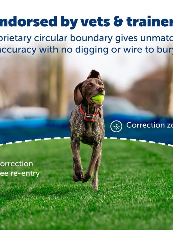 PetSafe Stay & Play Wireless Dog Fence for Stubborn Dogs, 3/4-Acre Coverage, Rechargeable Collar