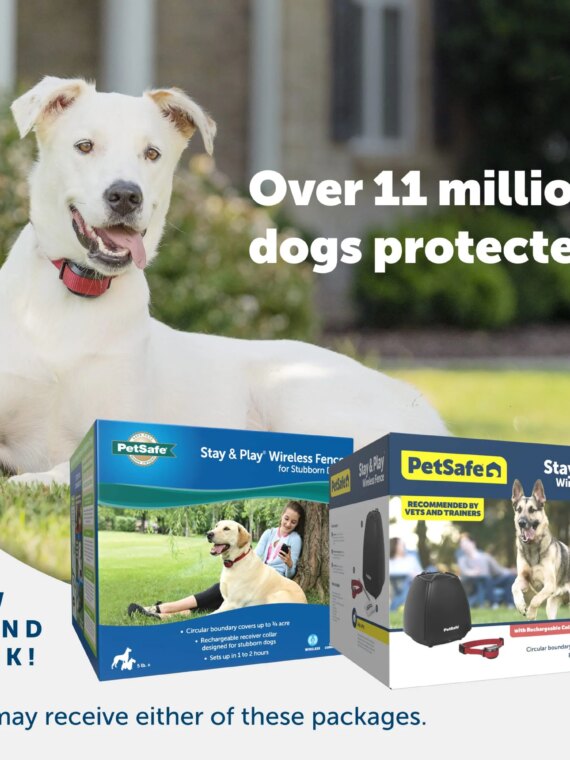 PetSafe Stay & Play Wireless Dog Fence for Stubborn Dogs, 3/4-Acre Coverage, Rechargeable Collar