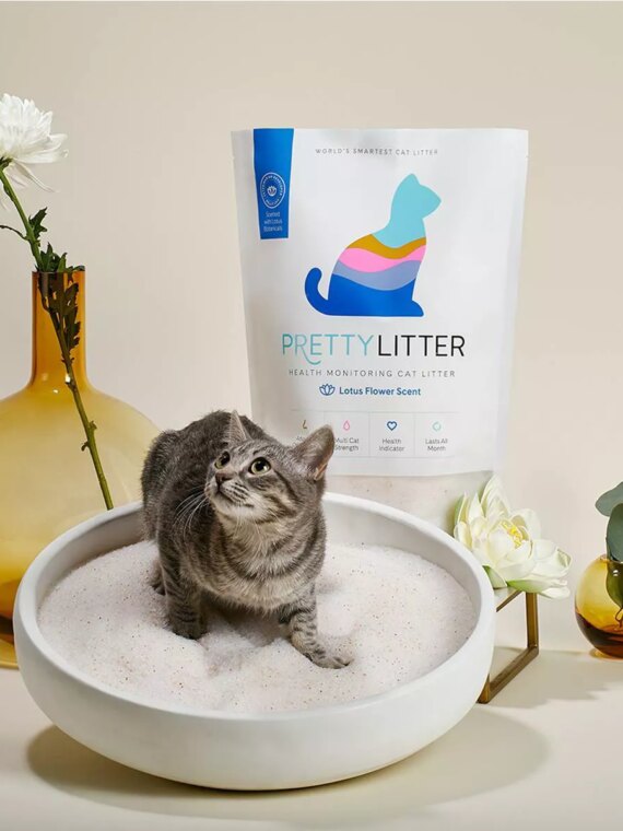 PrettyLitter Lotus Flower Scented Cat Litter, 8lbs - Advanced Odor Control, Lightweight, 99% Dust-Free, Non-Clumping