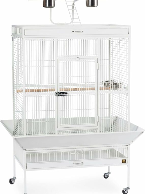 Prevue Pet Products Wrought Iron Bird Cage, Chalk White, 36"x24"x66", Includes Stand & Accessories