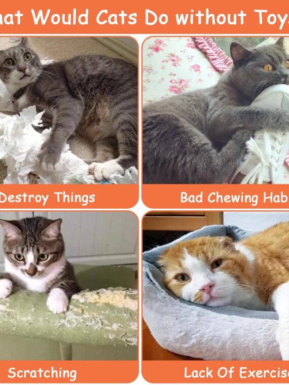 Purrfect Paws Catnip-Infused Plush Farm Toys Set for Cats - 5 Interactive Pieces