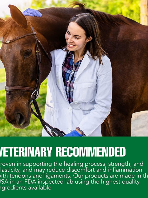 Ramard Total Tendon Repair Powder Horse Supplement, 1.12 lb, 30-Day Supply, Supports Tendon Healing