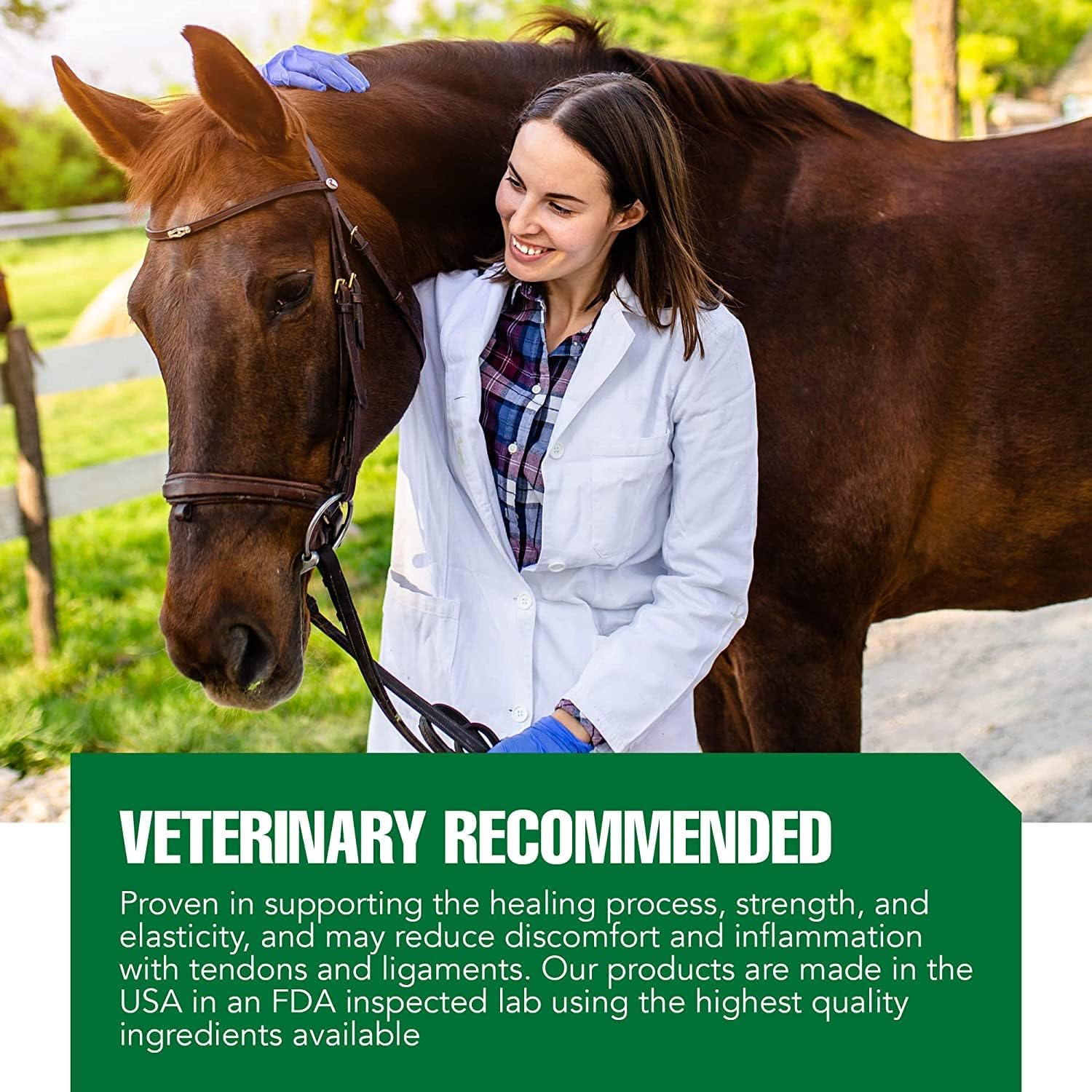 Ramard Total Tendon Repair Powder Horse Supplement, 1.12 lb, 30-Day Supply, Supports Tendon Healing