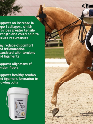 Ramard Total Tendon Repair Powder Horse Supplement, 1.12 lb, 30-Day Supply, Supports Tendon Healing