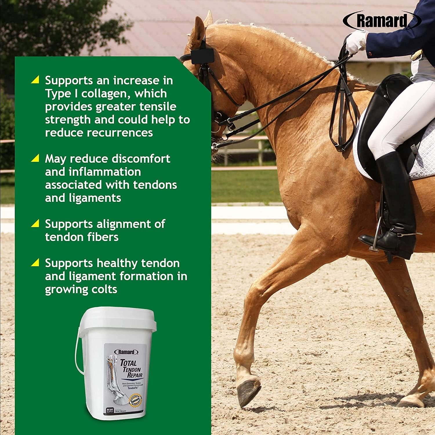 Ramard Total Tendon Repair Powder Horse Supplement, 1.12 lb, 30-Day Supply, Supports Tendon Healing