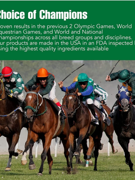 Ramard Total Tendon Repair Powder Horse Supplement, 1.12 lb, 30-Day Supply, Supports Tendon Healing