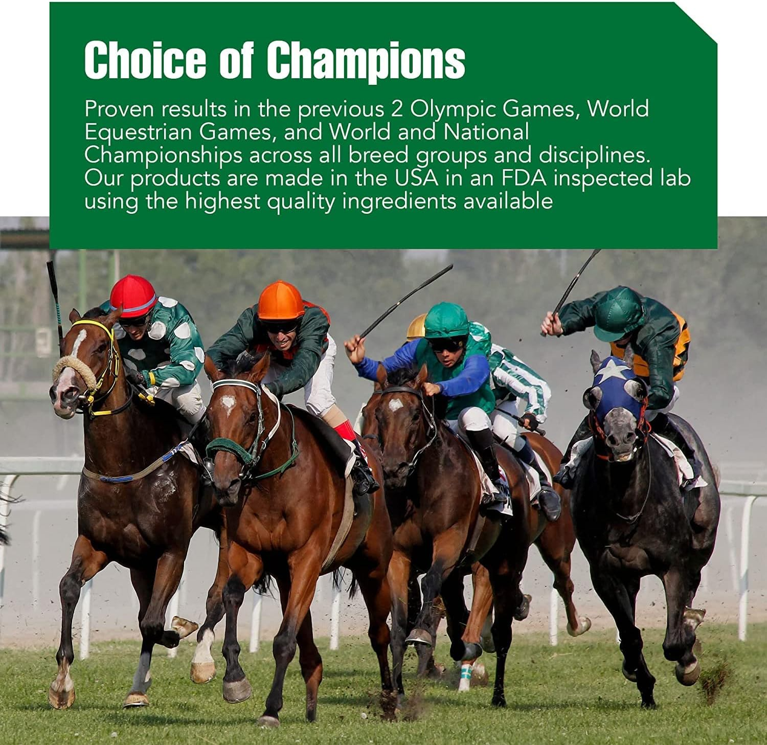 Ramard Total Tendon Repair Powder Horse Supplement, 1.12 lb, 30-Day Supply, Supports Tendon Healing