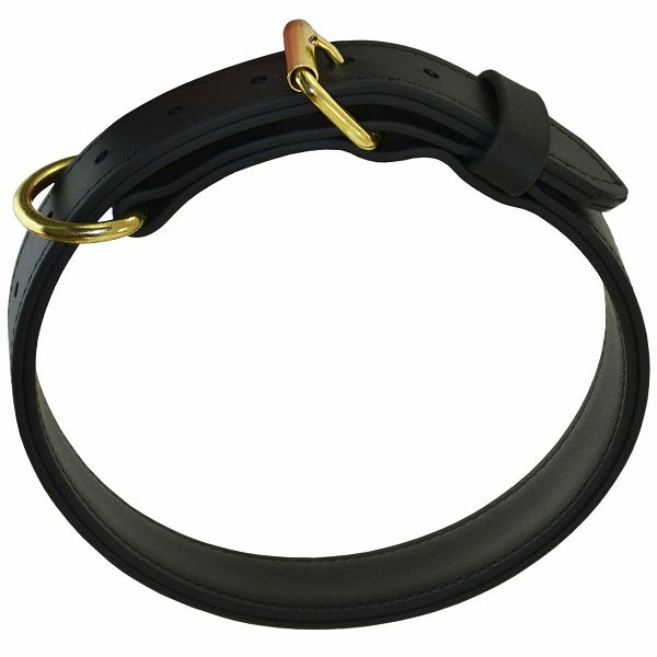 RAY ALLEN Double-Layered Biothane Dog Collar, 1 1/4" Wide, Black, Brass D-Ring, Durable for Hunting & Training