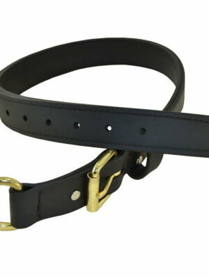 RAY ALLEN Double-Layered Biothane Dog Collar, 1 1/4" Wide, Black, Brass D-Ring, Durable for Hunting & Training