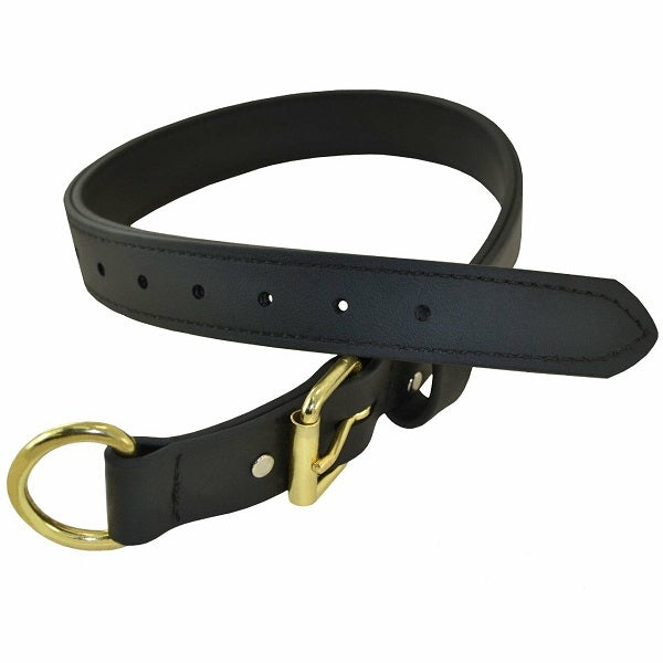 RAY ALLEN Double-Layered Biothane Dog Collar, 1 1/4" Wide, Black, Brass D-Ring, Durable for Hunting & Training