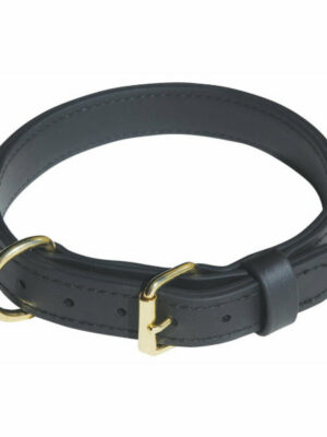 RAY ALLEN Double-Layered Biothane Dog Collar, 1 1/4″ Wide, Black, Brass D-Ring, Durable for Hunting & Training
