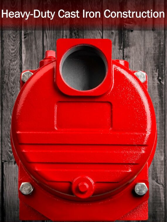 Red Lion 1.5 HP Dual Voltage Cast Iron Sprinkler Pump with Thermoplastic Impeller, 71 GPM