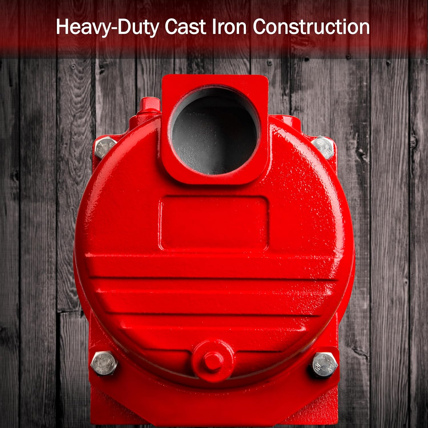 Red Lion 1.5 HP Dual Voltage Cast Iron Sprinkler Pump with Thermoplastic Impeller, 71 GPM