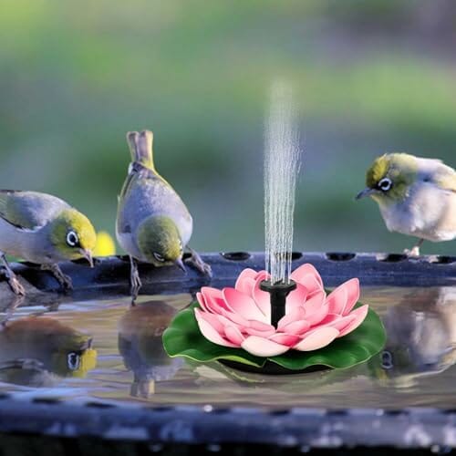 Solar Floating Water Lily Bird Bath Fountain, 6 Nozzles, Garden & Patio Decor