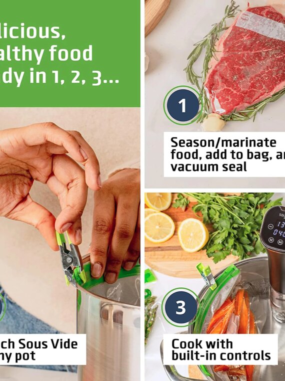 SOUSVIDE ART 800W Sous Vide Immersion Cooker Kit for Perfectly Cooked Meals