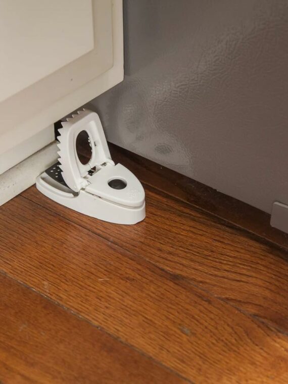 Tomcat Press 'N Set Mouse Trap, Easy-Set, No-Touch Disposal, 14 Traps Total (7 Packs of 2)