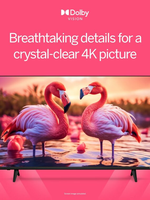 VIZIO 50" 4K HDR Smart LED TV with Dolby Vision, WiFi 6, Renewed Model V4K50M-08