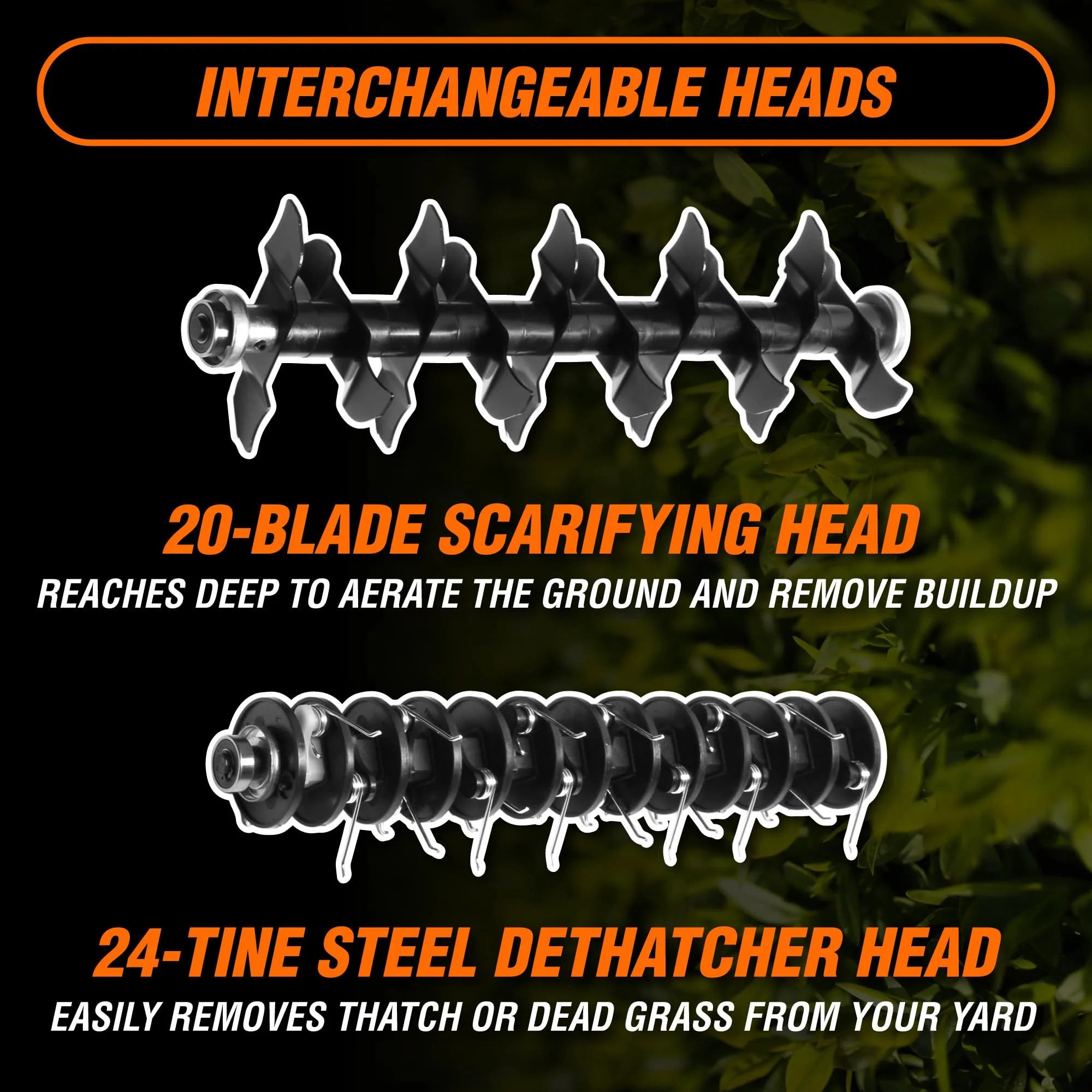 WEN Electric Dethatcher & Scarifier, 16-Inch, 15-Amp, 5-Position Height, 24 Steel Tines, 20-Blade Scarifying, with Collection Bag