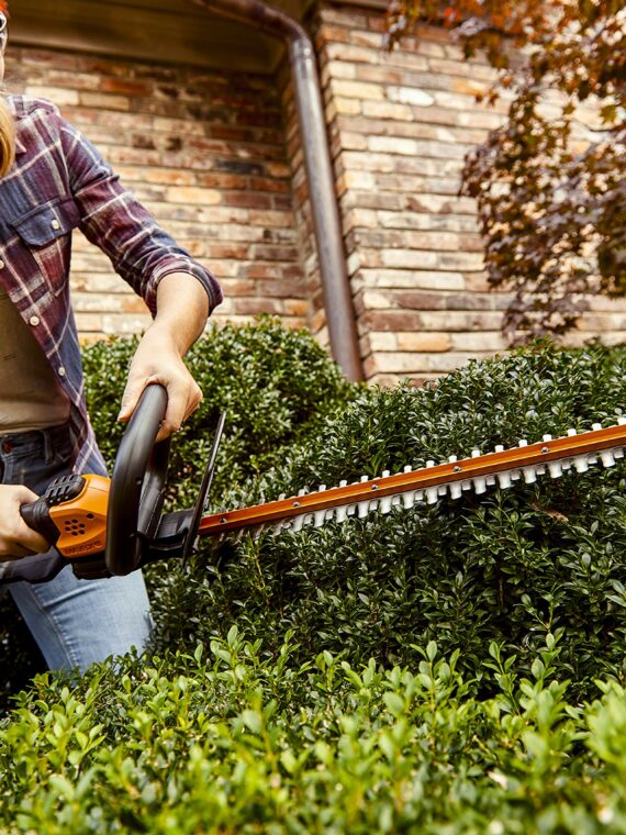 WORX 20V Cordless Hedge Trimmer, 22" Dual-Action Blades, Lightweight, PowerShare Compatible
